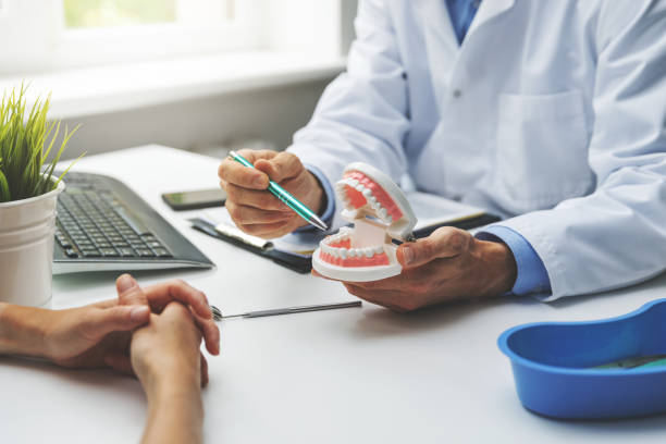 Professional Holistic Dental Care Services in Ottawa, OH
